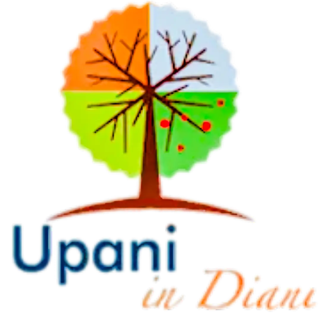 5 logo